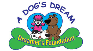 Dreamers Foundation